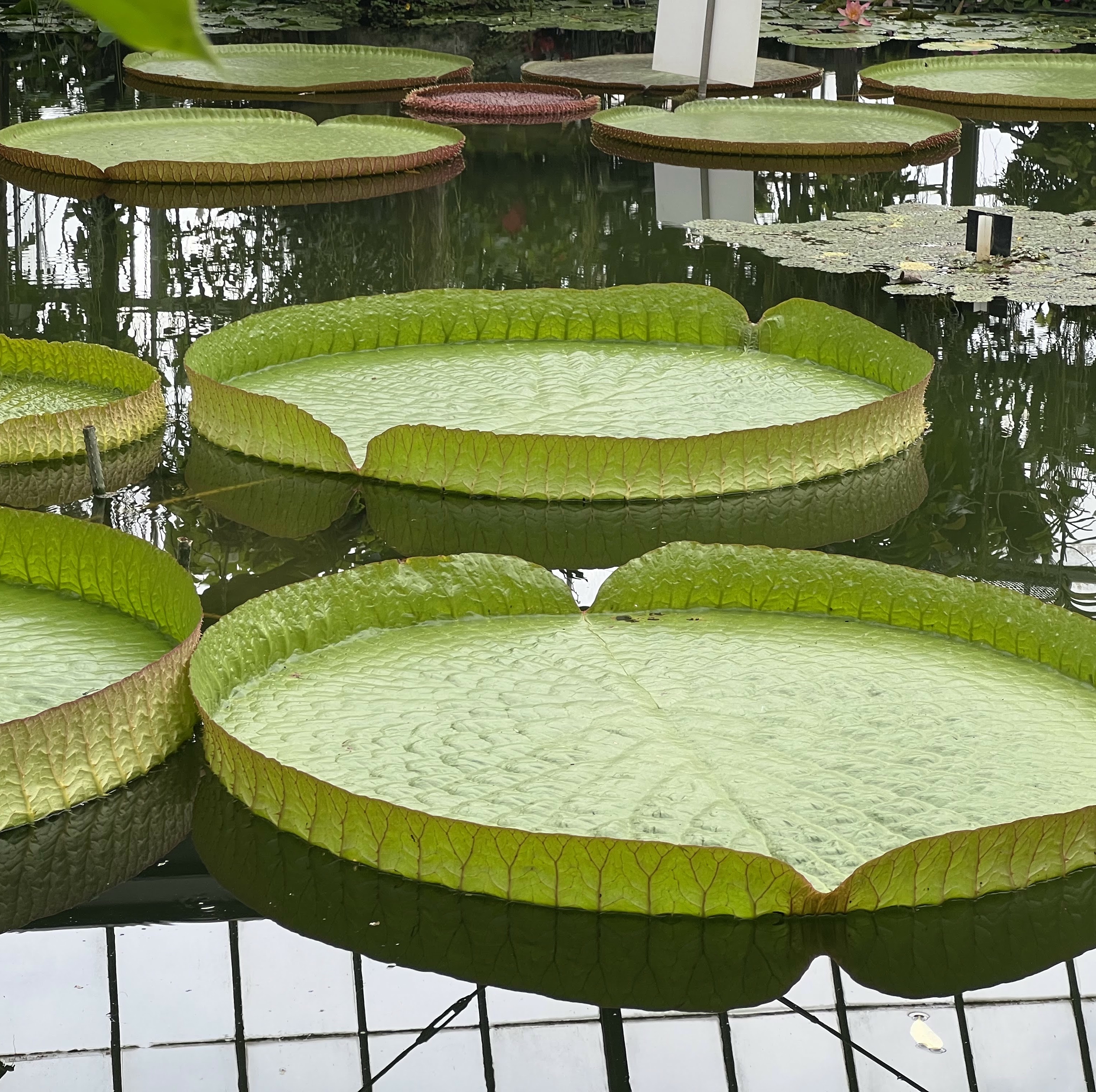 高橋智彦のプロフィール写真